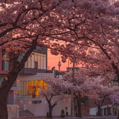 𝒸𝒽𝑒𝓇𝓇𝓎 𝓅𝒾𝑒