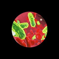 BLΣASSΣ - BLOOD TOXINS