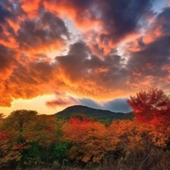 Lisa P - Collapsing Into Fall Trance Mix (October 2024)