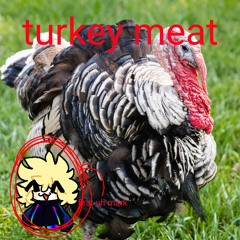 turkey meat ft. lidl market