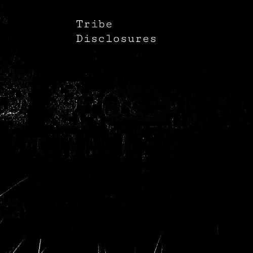 Tribe Disclosures 20/10/2025