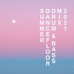 Summer Dancefloor Drum & Bass Mix | 2021