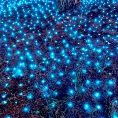 Ground Heat Of Blue