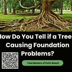 How Do You Tell if a Tree is Causing Foundation Problems?