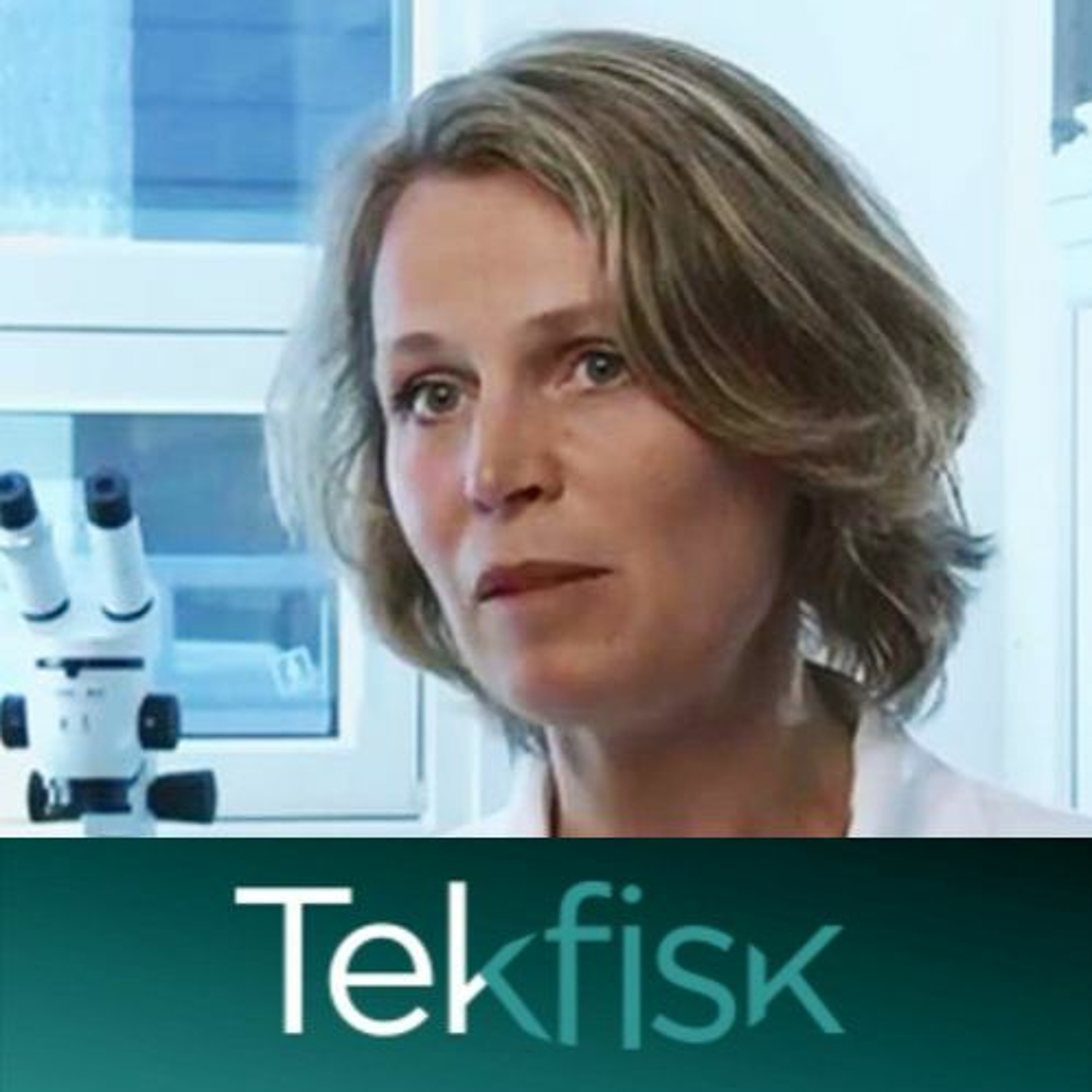 Tekfisk