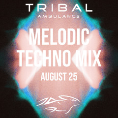 Melodic Techno Mix [August 2025]