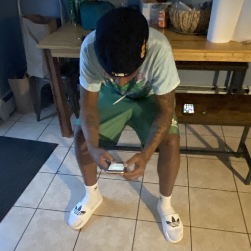 566 Freestyle