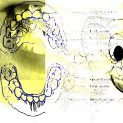 ANGEL LOVES TO PULL MY TEETH