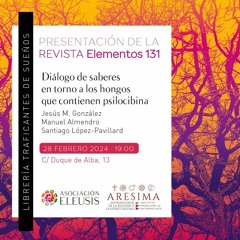 28 - 02 Revista Elementos