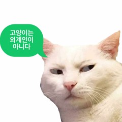 고양이는 외계인이 아니다