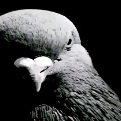 wanna leave my skin アセンデッドマスター