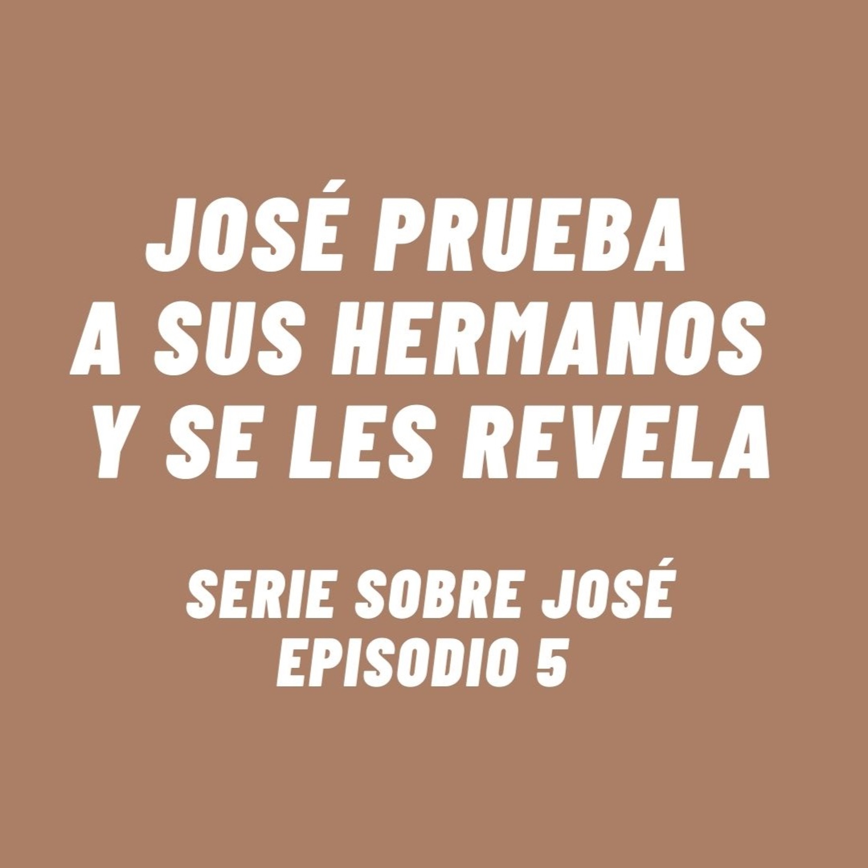 365Histoires