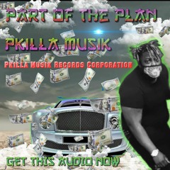 Pkilla Musik - Part Of The Plan