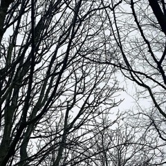 The branches look the same, for piano trio