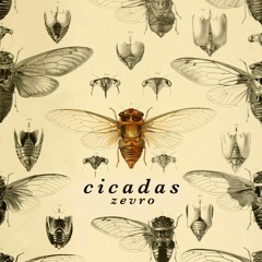 Cicadas - Zevro
