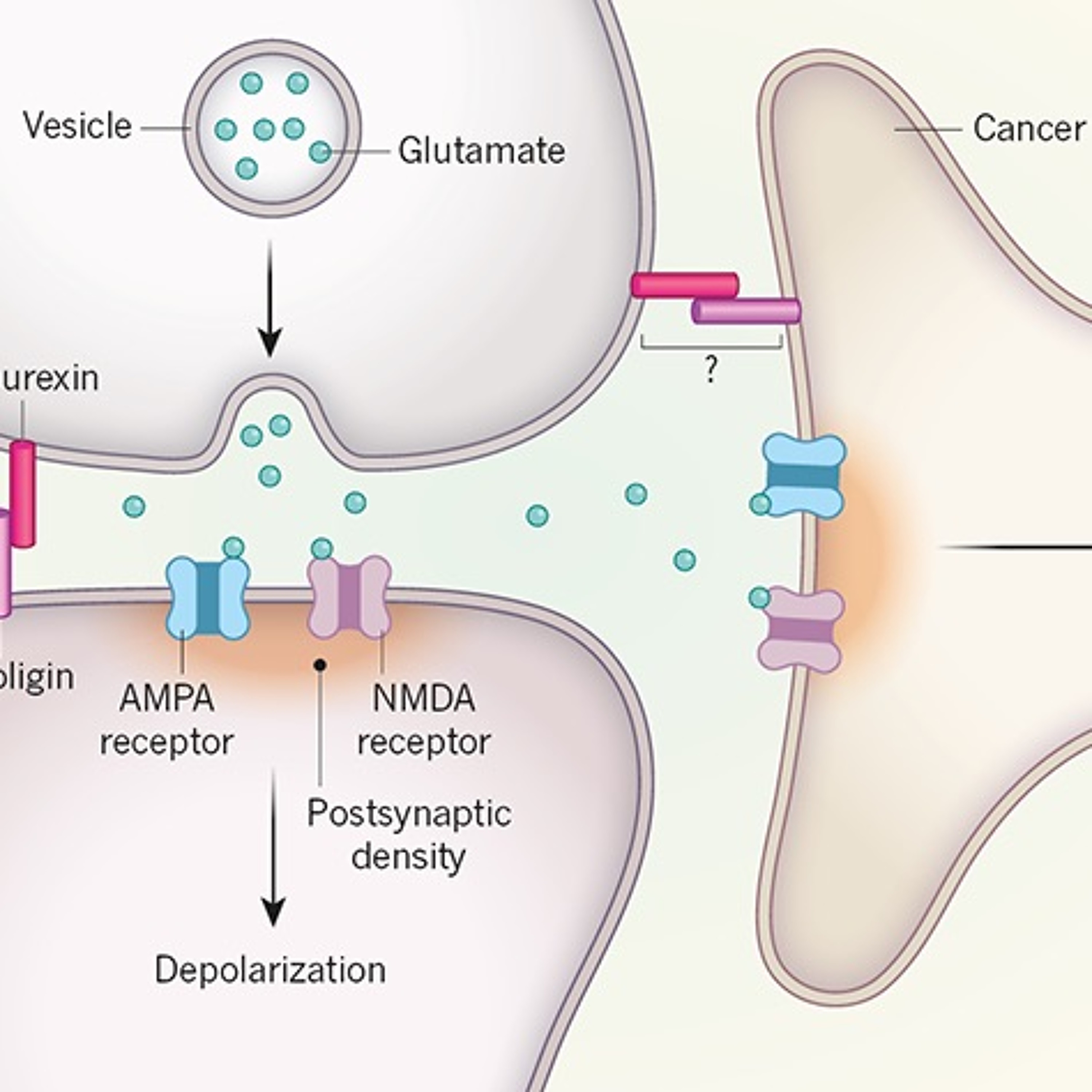 neuronal connections episode artwork