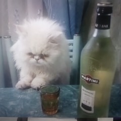 desculpa o sumiço...