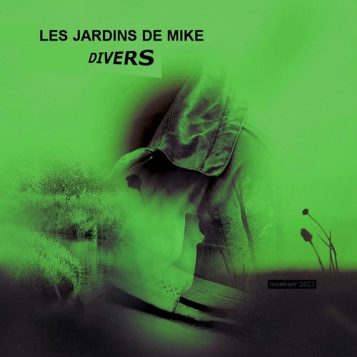 LES JARDINS DE MIKE : DIVERS 03 FEVRIER 2021