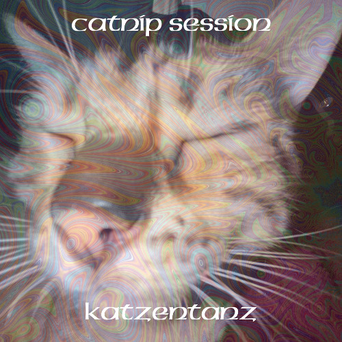 catnip session