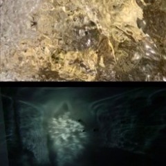 l'eau sur l'eau (dérive) - live galerie decorde finissage exposition "aurore" d'olivier godat