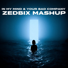 In My Mind & Your Bad Company- Zedbix Mashup [ FREE DL ]