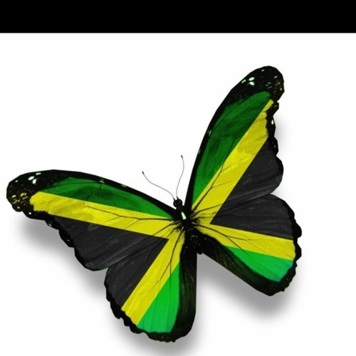 Loud up de ting *