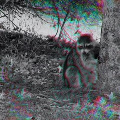 Walk Away As The Serbring Slams (lil peep / of mice and men mash-up)