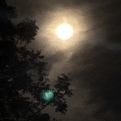 Space and Time [S.G. Goodman/Tyler Childers Cover (Cover)]