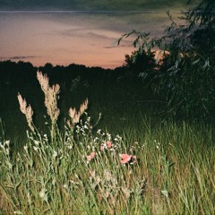 Cxema w/ Human Margareeta 120824