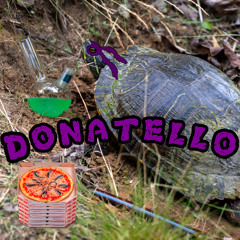 Donatello