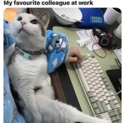 Ultimate88 - Numa Numa Trance