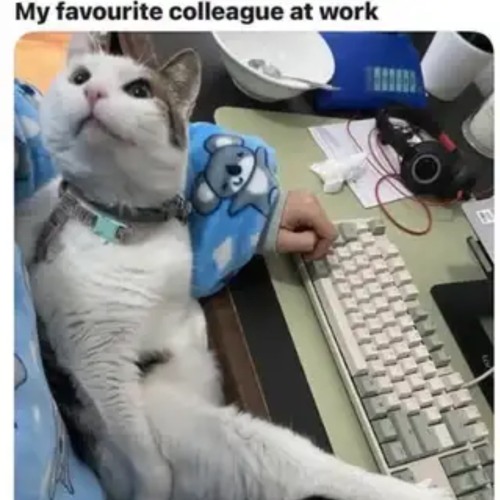 Ultimate88 - Numa Numa Trance