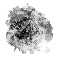 Kiasmos S Stream kiasmos s stream