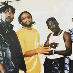 Shottas