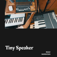 Tiny Speaker