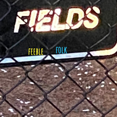 look on the fields