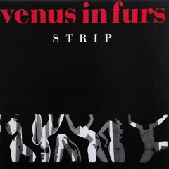 Venus in Furs - Sultan