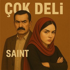 Çok deli