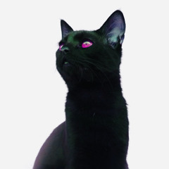 100 Black Cats (ft. QUI$7)(prod. S$pecial.K & QUI$7)