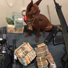 Pra da um role no morro de presente pra ela um cortão de ouro(MP3_160K).mp3