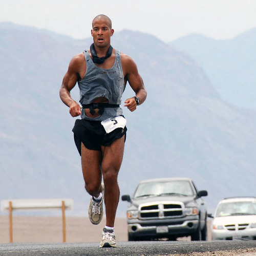 Stay x David Goggins Motivation