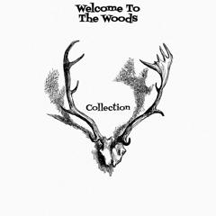 Welcome To The Woods Collection