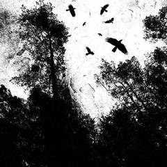 FøRD - play me, or play me not (silencedgrave flip)