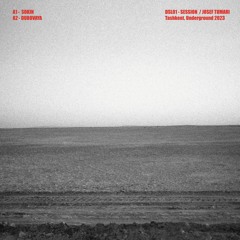 Josef Tumari - Sokin