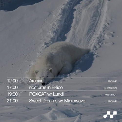06.01.2026 POXCAT w/ Lundi by microwave.live