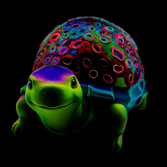 Tortuga