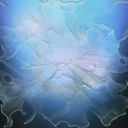 [Swine Premiere] Areliz Ramos - Bath (mappa)