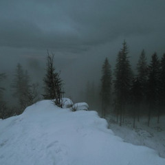 avalanche [neverforever]