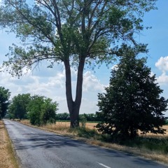 Lekapcsolom A Villanyt Bajdázó cover