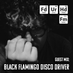 Black Flamingo disco Driver / Mixes / Dj Set